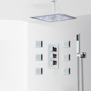 Juno ceiling mount shower head